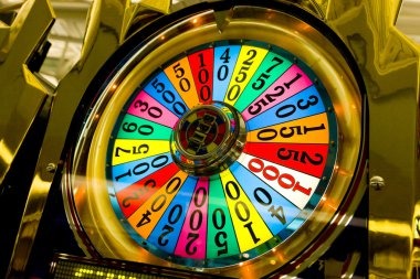rtp omtogel Live Score dashboard showing real-time tournament brackets and leaderboard standings